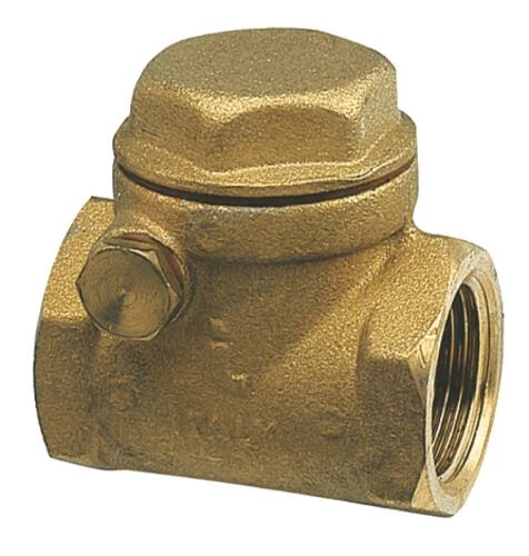 Clapet De Retenue Laiton à Battant F40/49 3 Clapet De Retenue Laiton à Battant F40/49