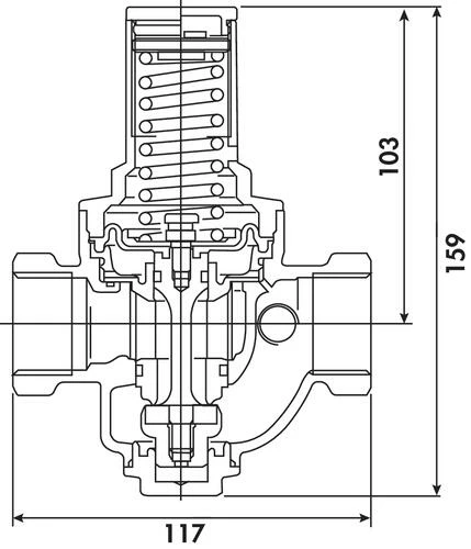 Régulateur De Pression à Membrane Double Femelle 26/34 - PRONORM 5 Régulateur De Pression à Membrane Double Femelle 26/34 - PRONORM – Image 3