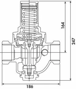 Régulateur De Pression à Membrane Double Femelle 50/60 - PRONORM -ROBINETTERIE HAMMEL Soldes 195 50 2