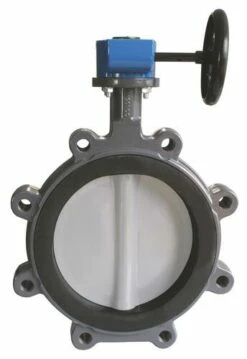 Vanne Papillon Inox à Oreilles Taraudées DN300 XYLIAT FGL RM à Démultiplicateur - SOCLA