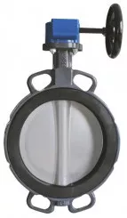 Vanne Papillon Inox à Oreilles De Centrage DN250 Xylia FGL RM à Démultiplicateur - SOCLA